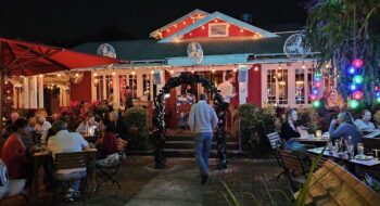 Dada: A Quirky Gem in Delray Beach