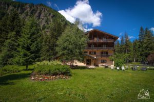 Hotel Alpine Forest