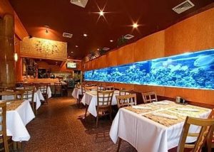 Matsuya Japanese Restaurant